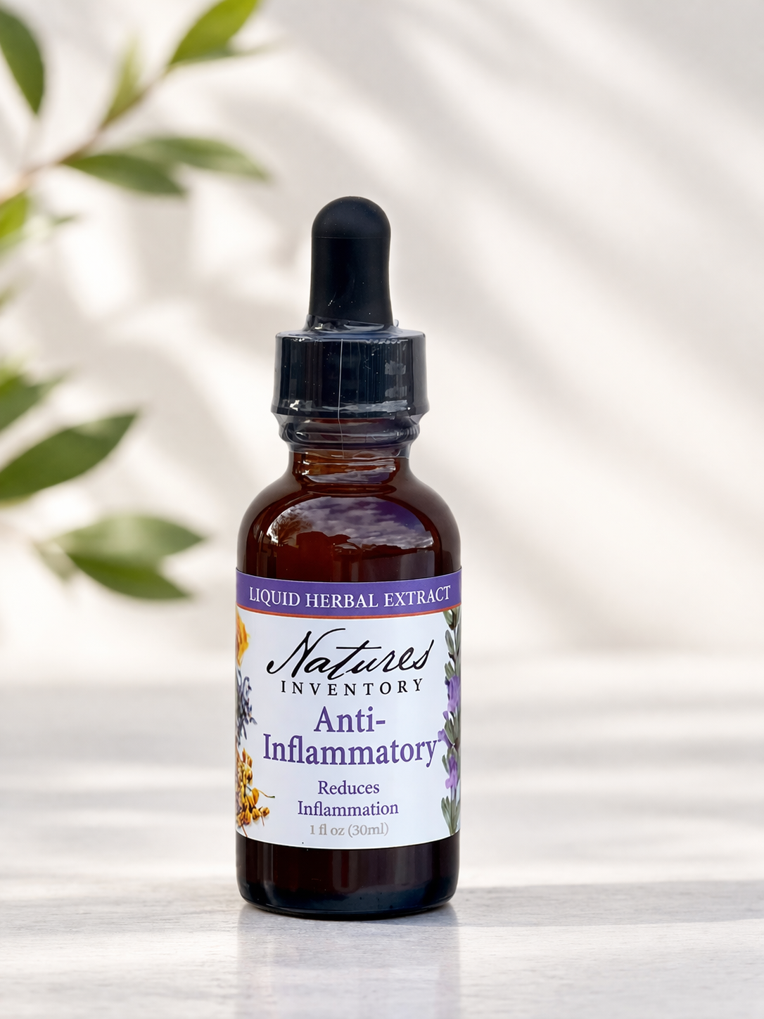 Anti-Inflammatory Herbal Extract