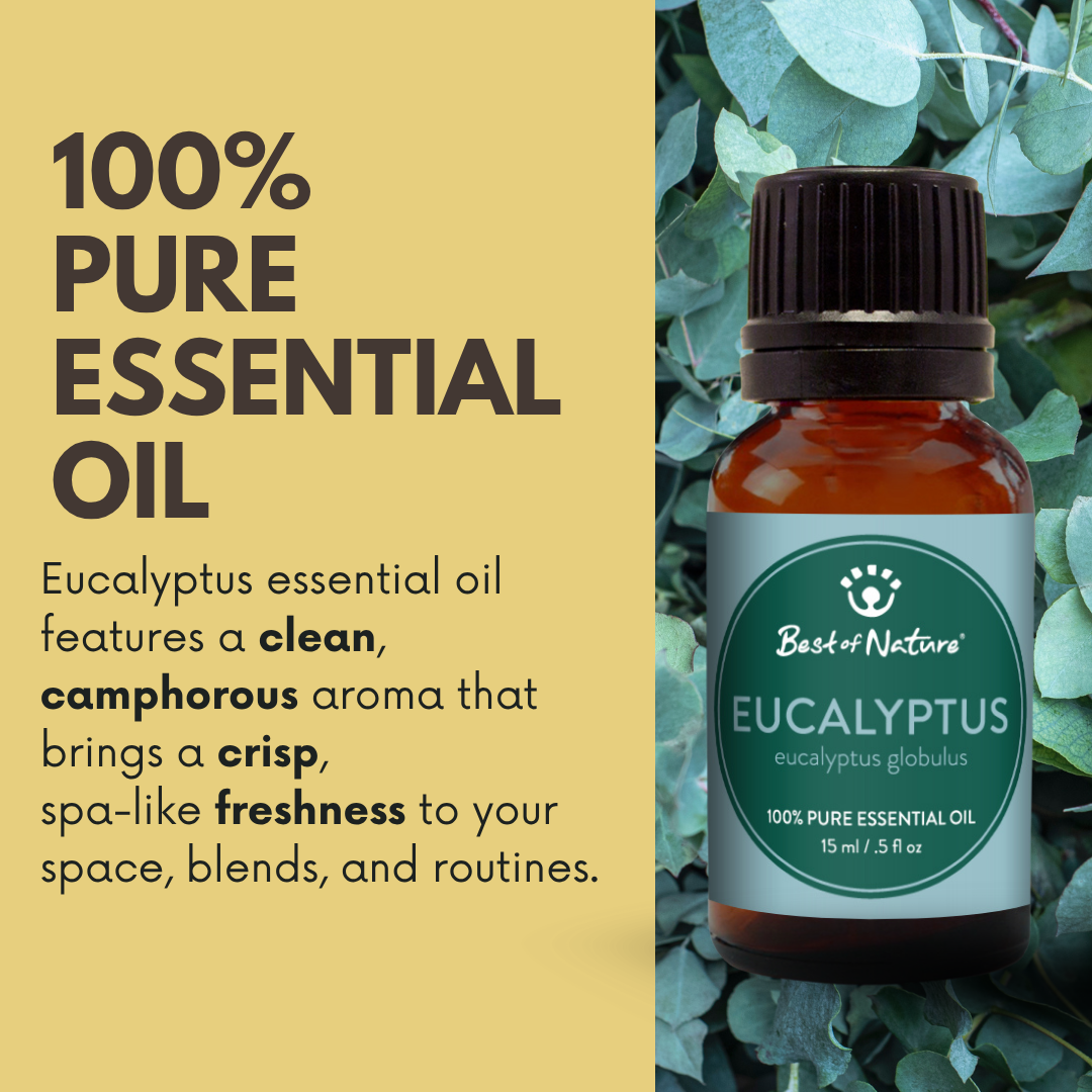 Eucalyptus Essential Oil, 100% Pure - 15ml / 100ml