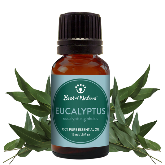 Eucalyptus Essential Oil, 100% Pure - 15ml / 100ml