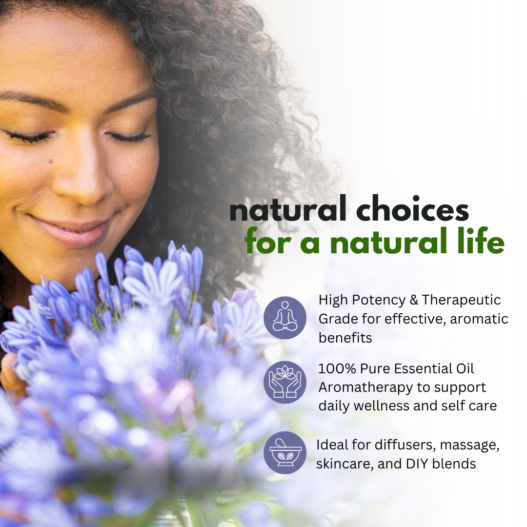 Cinnamon Leaf Essential Oil, 100% Pure - 15ml / 100ml